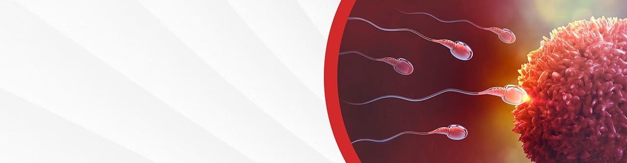 Fertility & IVF