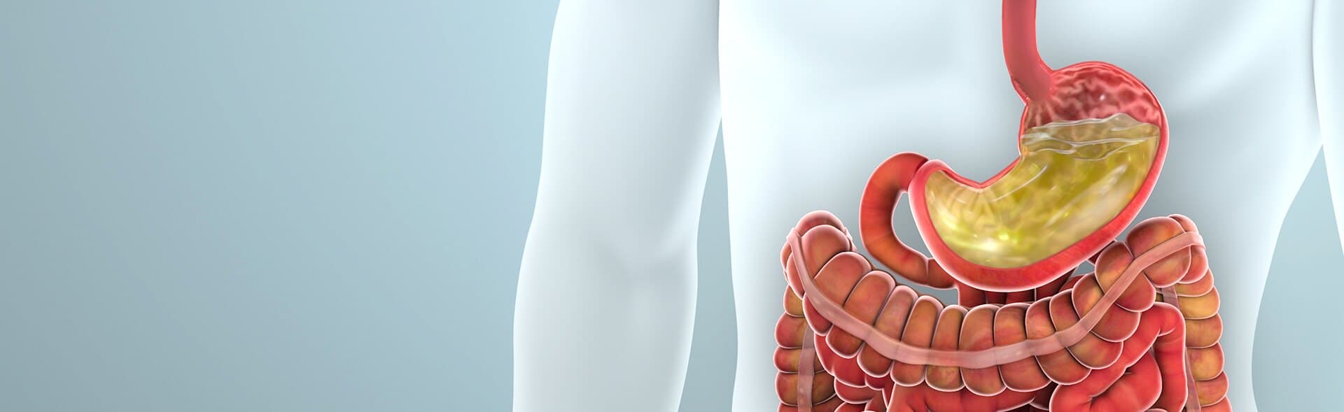 Gastrostomy Treatment in Kolkata