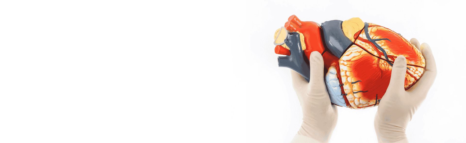 Atrial fibrillation surgery