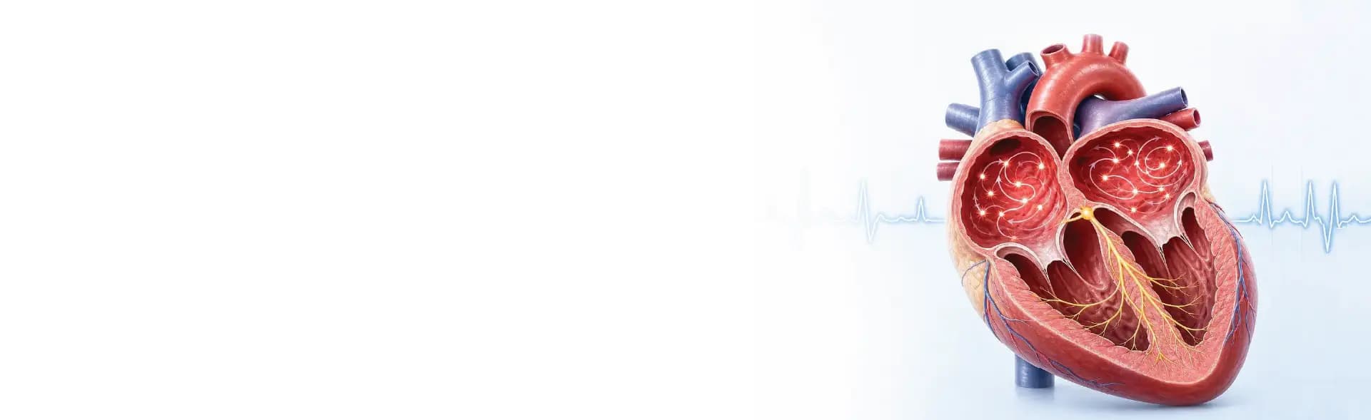 Atrial fibrillation surgery