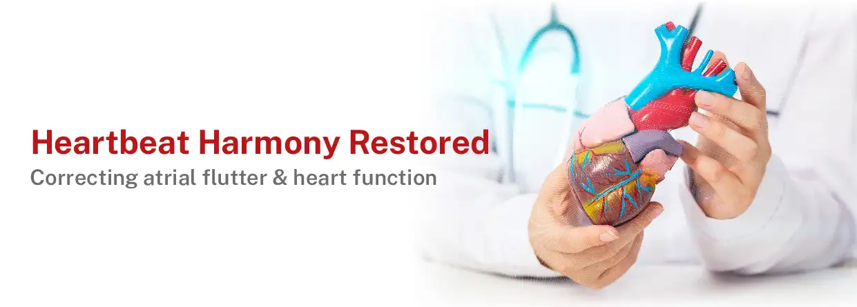 Case Study- Heartbeat Harmony Restored - Correcting atrial flutter and heart function