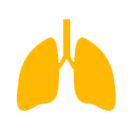 Rheumatoid Lung Disease