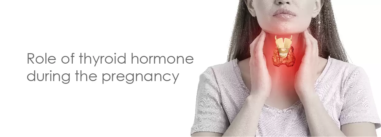 Role of thyroid hormone during the pregnancy