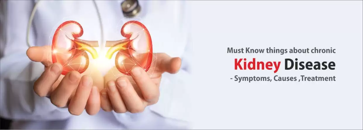 Must Know Things About Chronic Kidney Disease - Symptoms, Causes, & Treatment