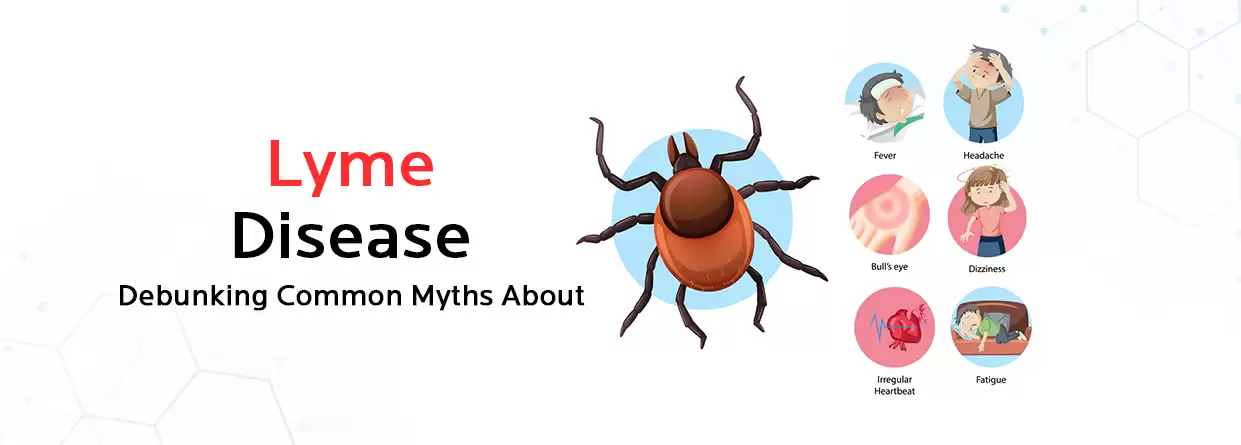 Debunking Common Myths About Lyme Disease