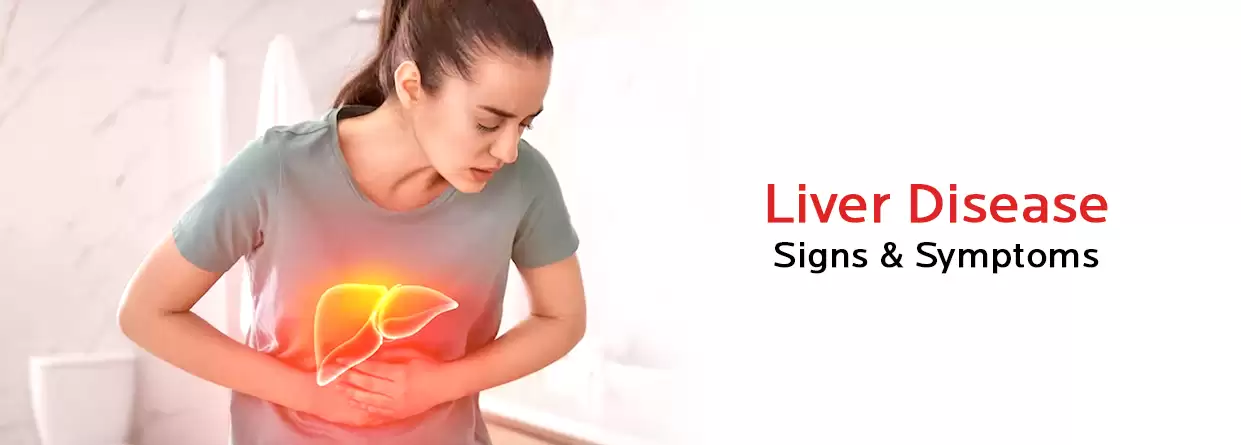 A Guide to Understanding Liver Disease