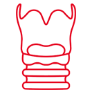 Laryngeal