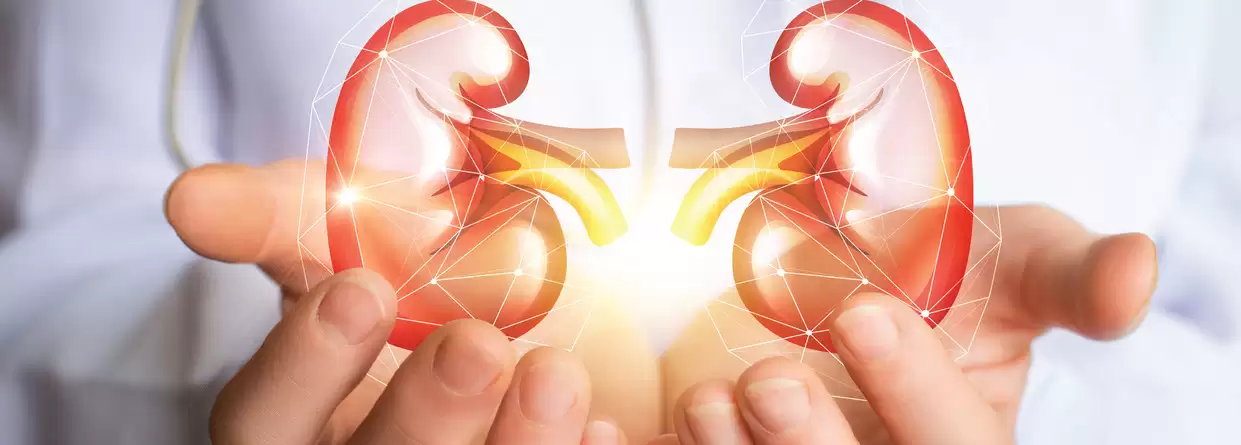 All You Need to Know Kidney Health