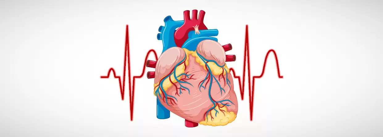 What is the correlation between hypertension and heart disease?