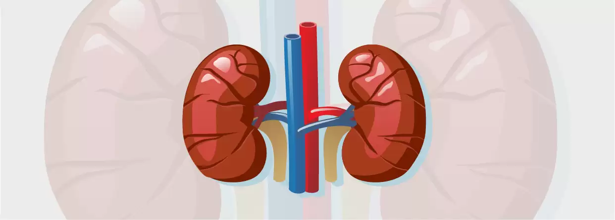 What is kidney parenchymal disease and what are its symptoms?