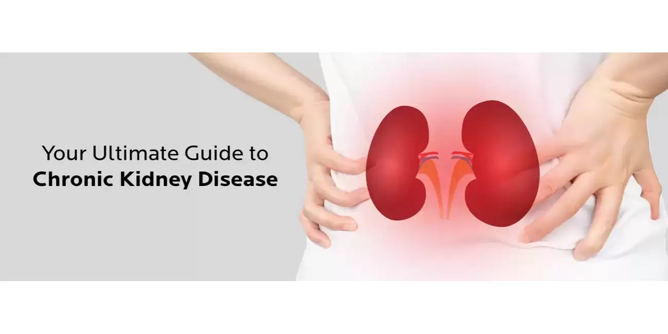 Your Ultimate Guide to Chronic Kidney Disease - RBH